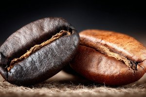 Arabica vs Robusta Coffee: Choosing the Best for Your Business