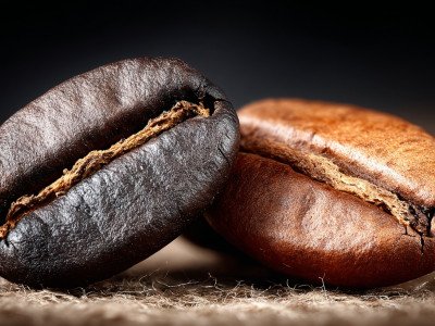 Arabica vs Robusta Coffee: Choosing the Best for Your Business